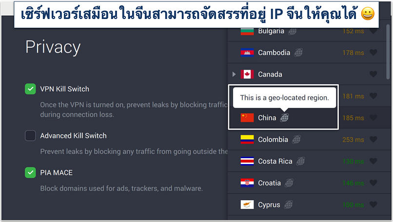 Screenshot of PIA's privacy settings and virtual servers in the app